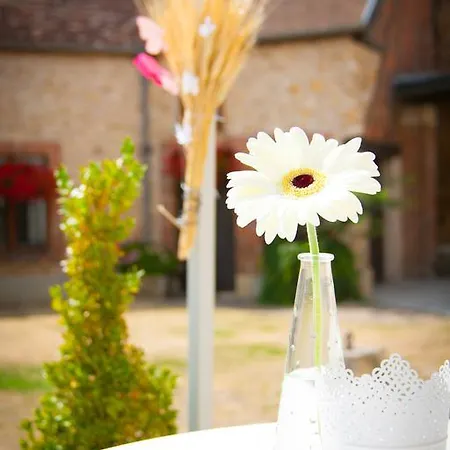 Hébergement de vacances Le Du Domaine Miltat